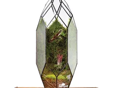 Terariu Diamantul Abundentei